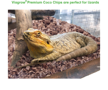 G125 VRCCPT